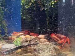 -太平洋海底世界