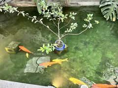 -漫笙舍Manse·咖啡·民宿