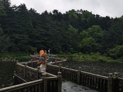 -庐山风景区花径公园