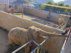 -西霞口神雕山野生动物世界