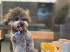-Shake Shack(南山万象天地店)
