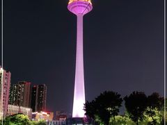 -辽宁电视塔