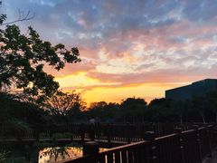 -福田红树林生态公园