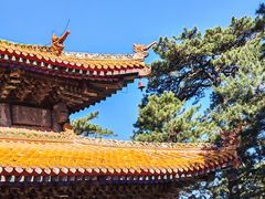-普乐寺