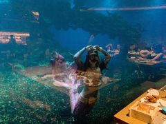 -海棠湾洲际-涛·海底餐厅·美人鱼·自助餐·海底隧道