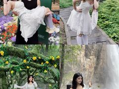 -洛阳白云山景区