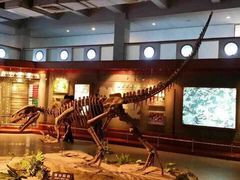 iphone_upload_pic-自贡恐龙博物馆