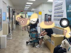 -美联众合动物医院·24h转诊中心