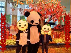 -成都保利公园皇冠假日酒店(熊猫基地店)