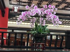 -龙悦湾酒家·八阵鱼生·渔人码头店