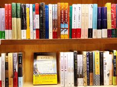 -猫的天空之城概念书店(杭州南宋御街店)