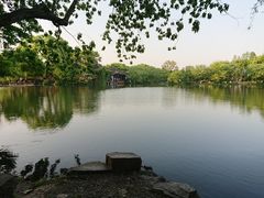 -西湖外事游船(花港观鱼码头)