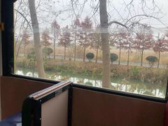 -合肥滨湖国家森林公园