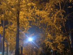 -高庙村(地铁站)