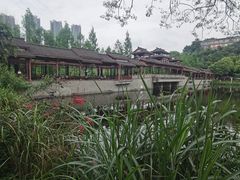 -重庆彩云湖湿地公园