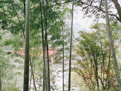 -庐山碧龙潭风景区