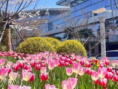 -中国计量大学(西校区)