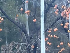 -碓臼峪自然风景区