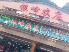 门面-银峰农庄·特色烧鸡·鲜无花果浸鸡