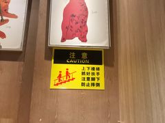 -MOCHA明星猫咖(田子坊店)