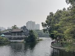 -荔湾湖公园