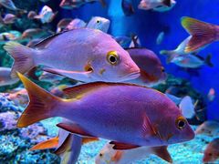 -成都浩海立方海洋公园