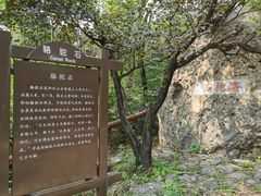-阳台山自然风景区
