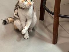 -Again Coffee Roaster(香蜜湖店)