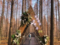 -黄海国家森林公园