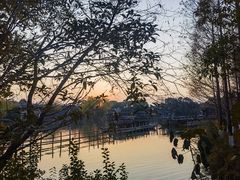 -乌镇景区