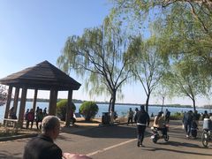 -丁香湖公园