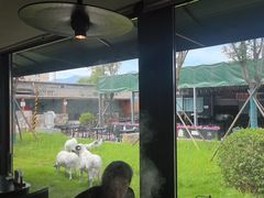 -阳坊胜利涮羊肉(阳坊老店)
