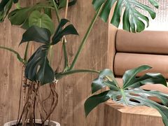 -81bakery(关山路店)