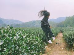 -中国茶叶博物馆(双峰馆区)
