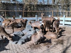 -北京野生动物园