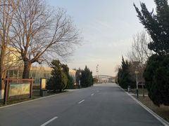 -石家庄市植物园
