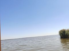 -哈素海