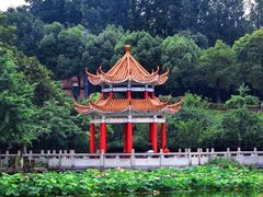 -西南政法大学(渝北校区)