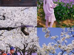 -江苏三台山国家森林公园