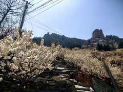-崂山九水游览区