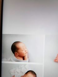 点击看大图 -大树儿童摄影