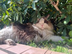 -wow ！coffee(桐梓林店)