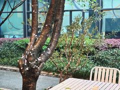 -麦田工坊(月湖店)