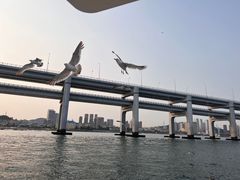 -星海湾跨海大桥