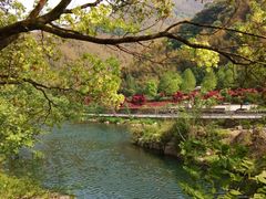 -鹿亭中村