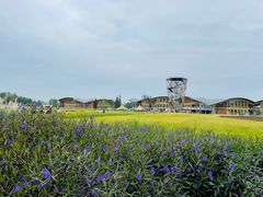 -中国天府农业博览园