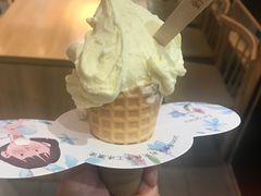 -野人先生现做冰淇淋(西安赛格店)