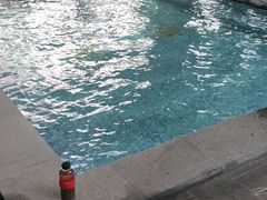 -金石滩鲁能温泉假日酒店·海洋之星餐厅