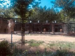 -秦皇岛野生动物园