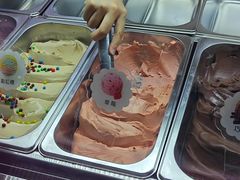 -六伴夏烘焙蛋糕·低糖动物奶油